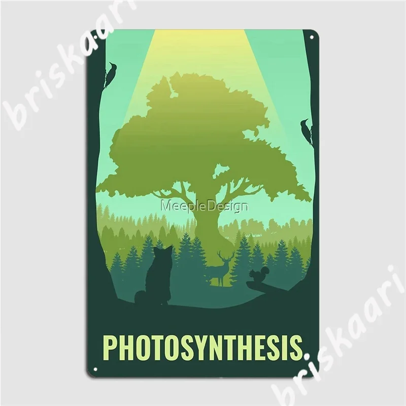 Photosynthesis Board Game- Min - Board Game Room 评论和价格